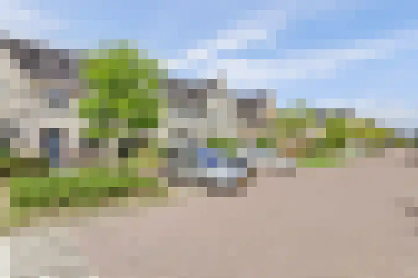 Aalscholver 16 Hendrik-Ido-Ambacht thumbnail 43