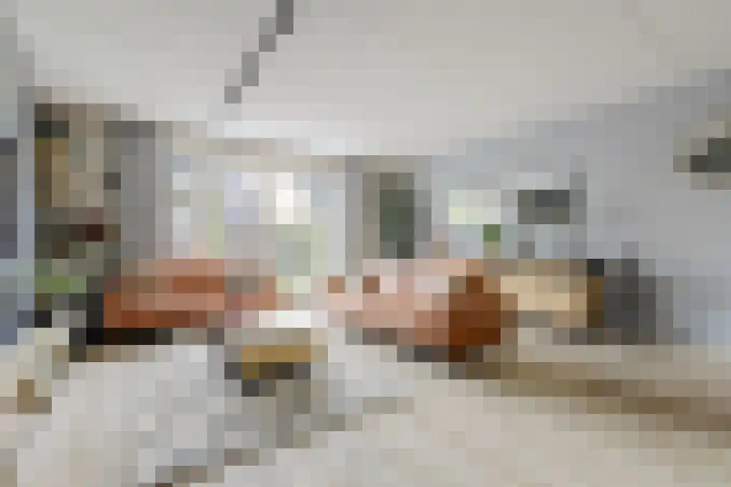 Aalscholver 16 Hendrik-Ido-Ambacht thumbnail 7