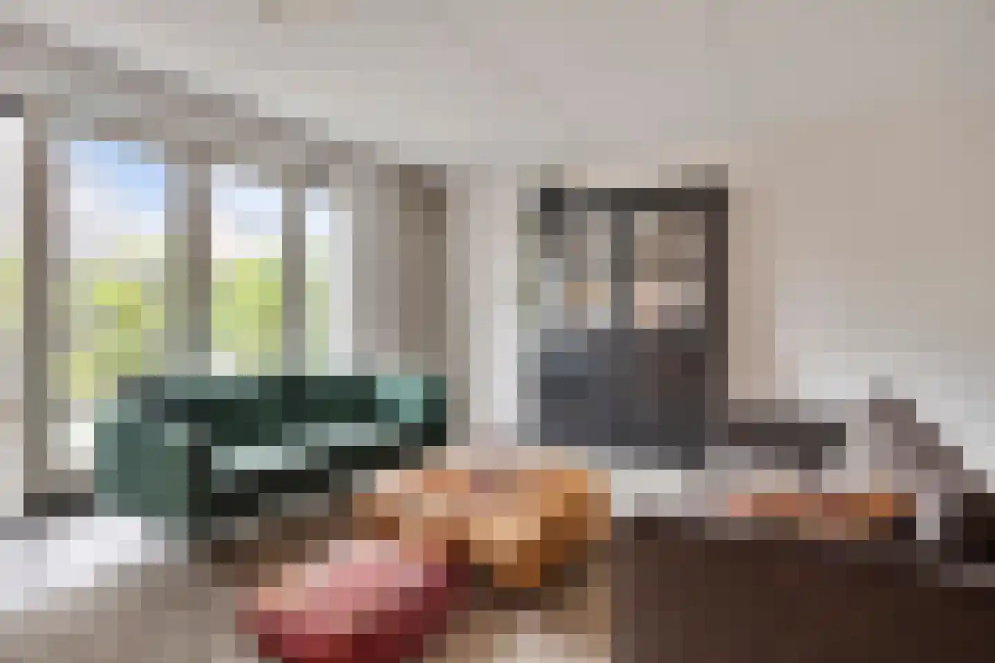 Aalscholver 18 Hendrik-Ido-Ambacht thumbnail 12