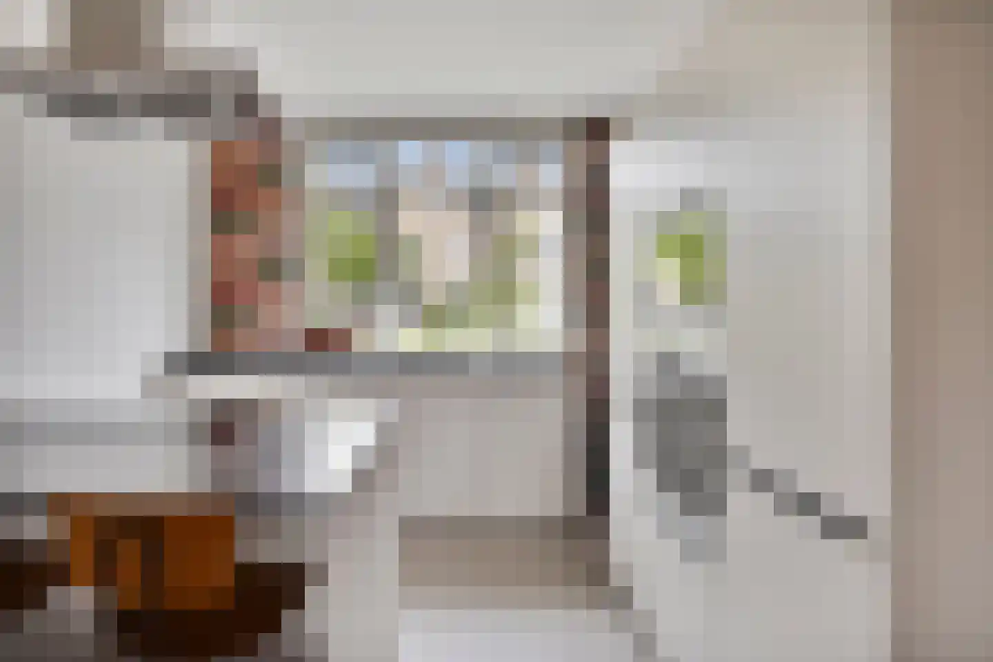 Aalscholver 18 Hendrik-Ido-Ambacht thumbnail 16