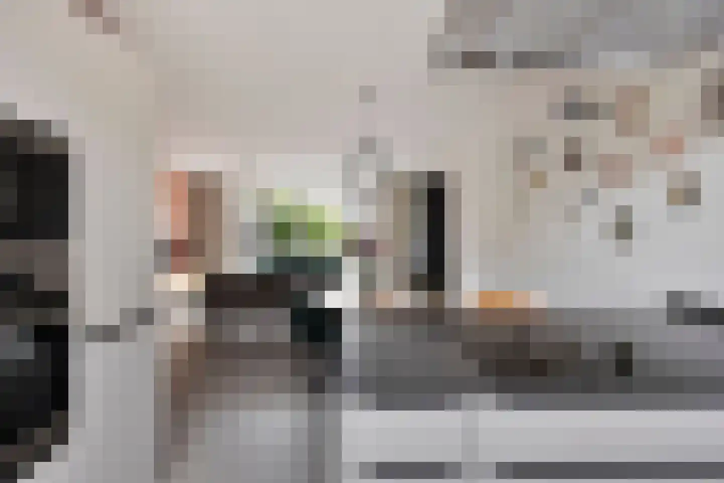 Aalscholver 18 Hendrik-Ido-Ambacht thumbnail 17