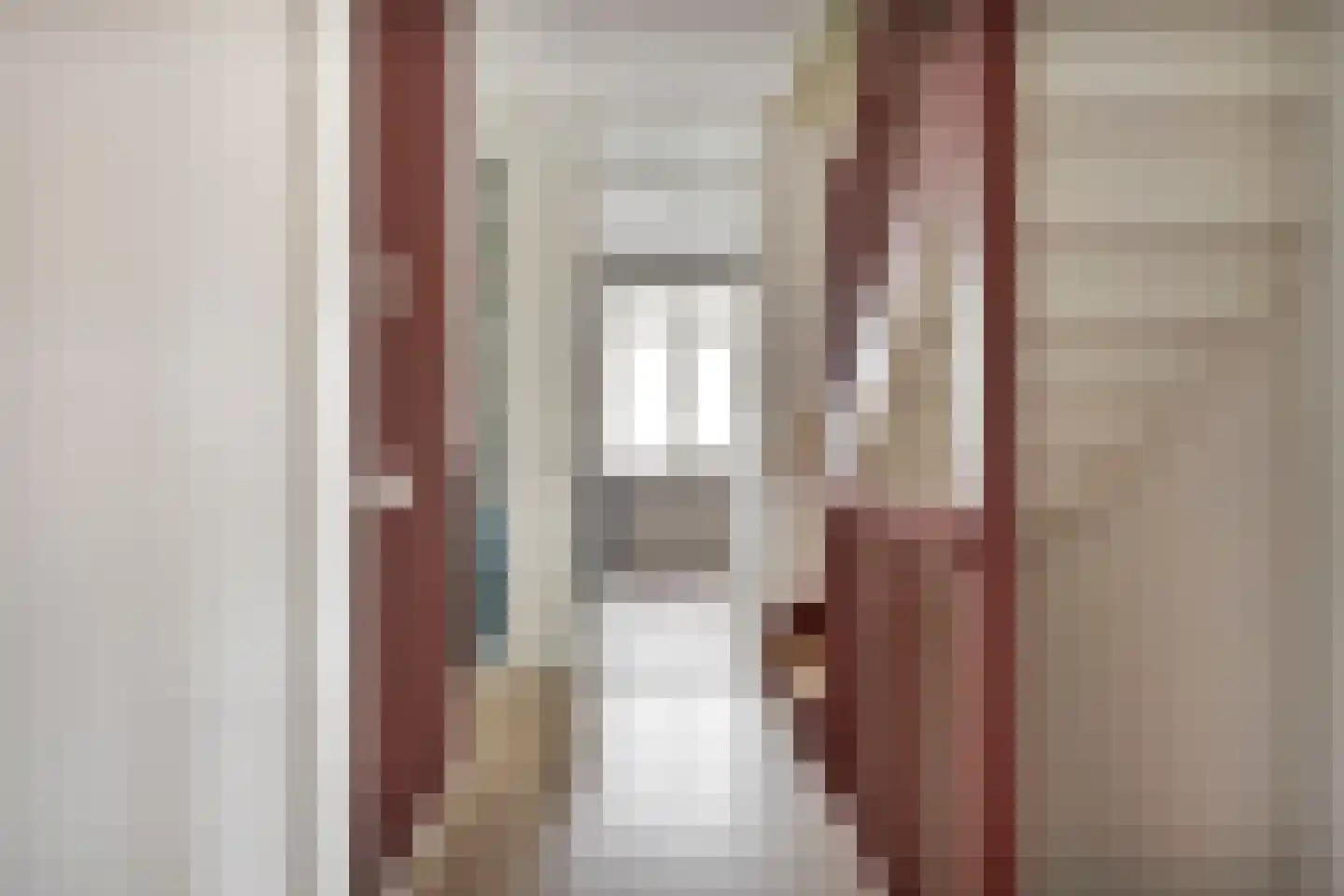 Aalscholver 18 Hendrik-Ido-Ambacht thumbnail 19