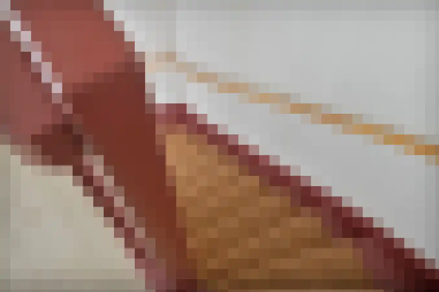 Aalscholver 18 Hendrik-Ido-Ambacht thumbnail 30