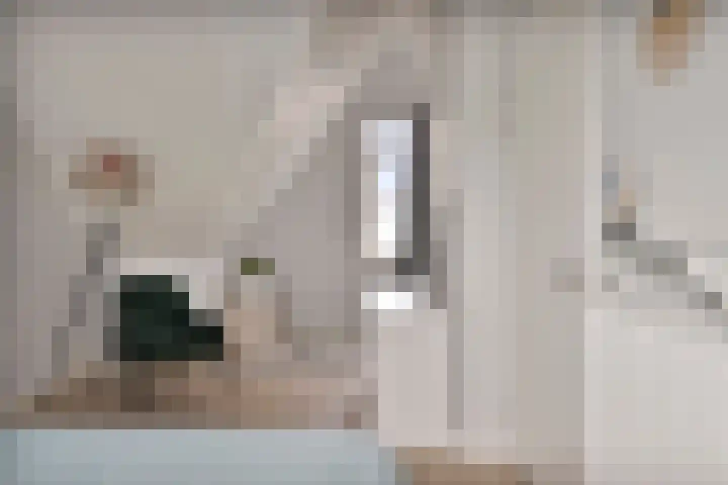 Aalscholver 18 Hendrik-Ido-Ambacht thumbnail 34