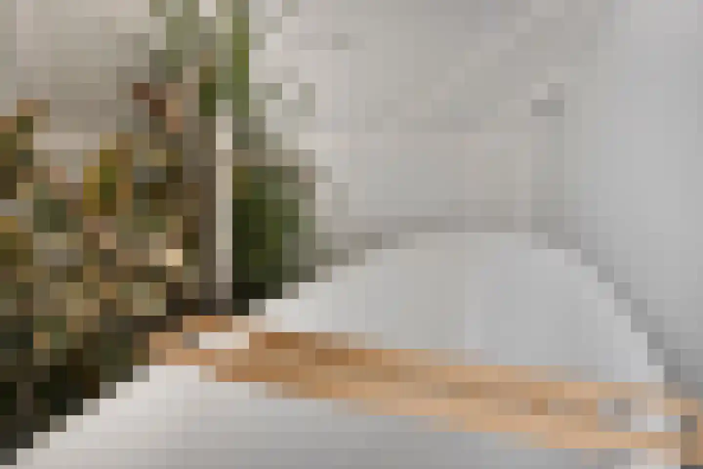 Aalscholver 18 Hendrik-Ido-Ambacht thumbnail 37