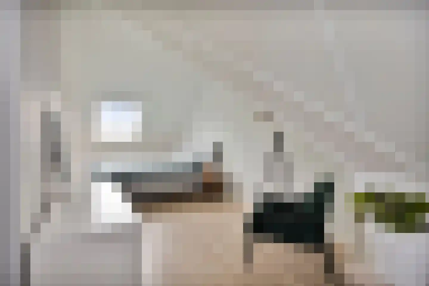 Aalscholver 18 Hendrik-Ido-Ambacht thumbnail 38