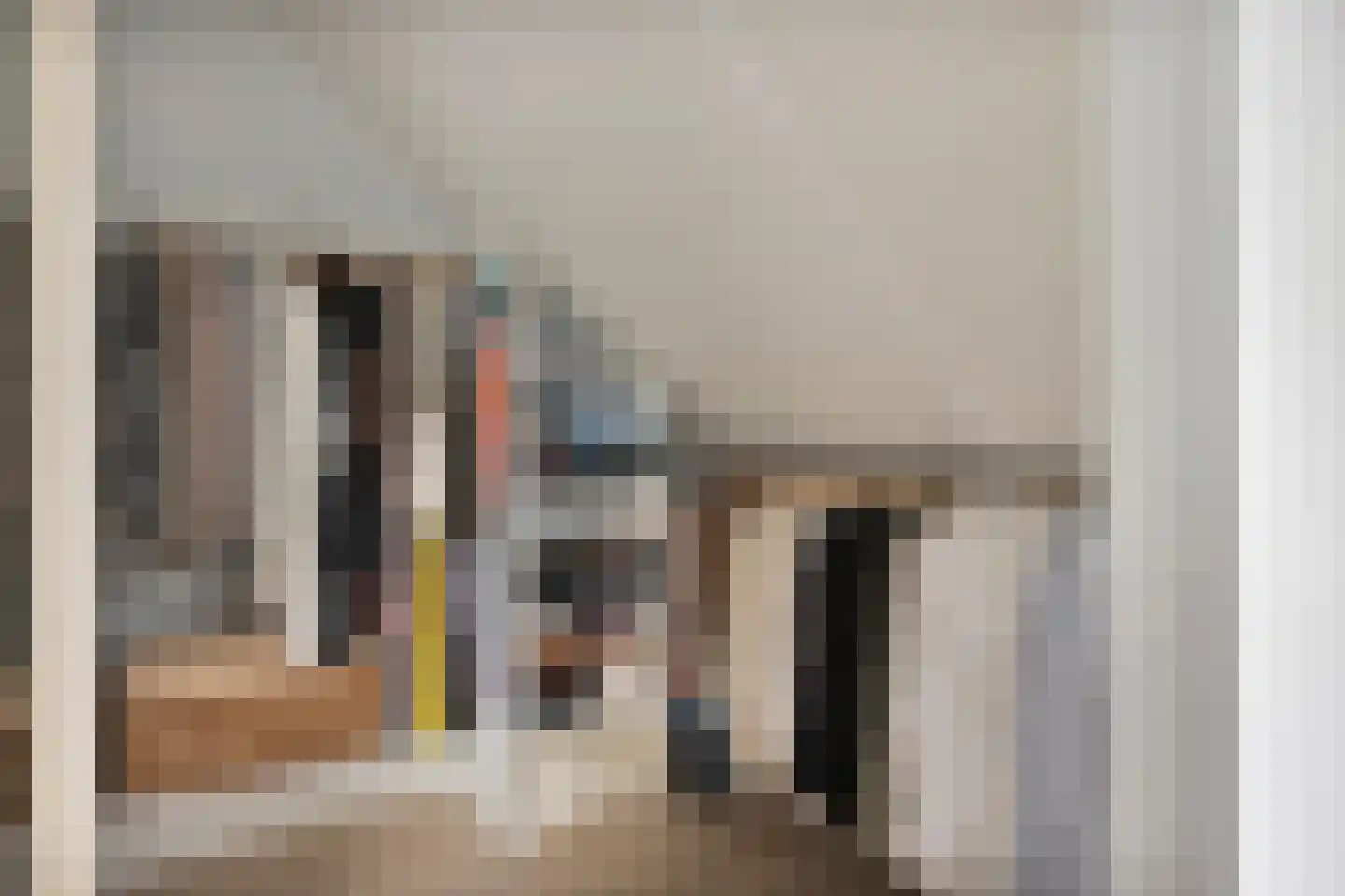 Aalscholver 18 Hendrik-Ido-Ambacht thumbnail 41