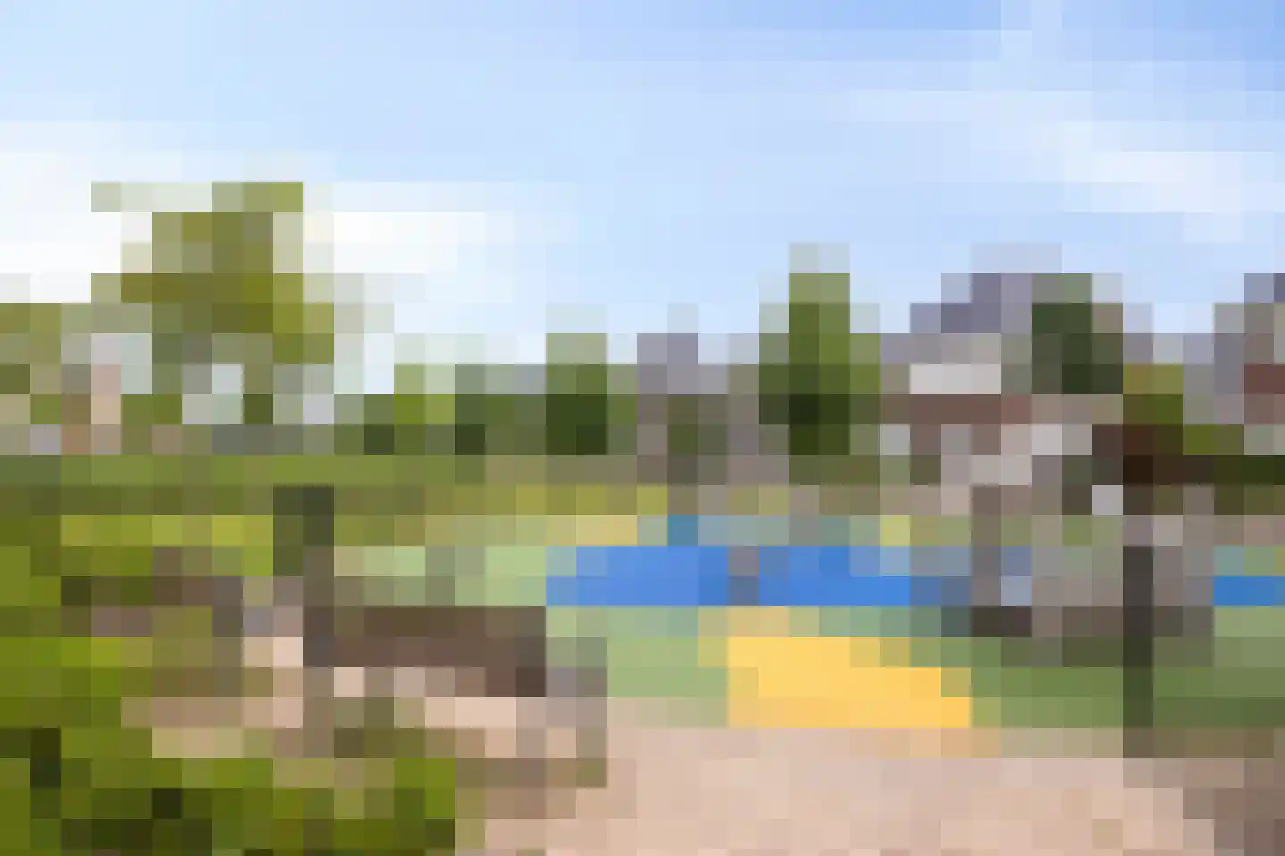 Aalscholver 18 Hendrik-Ido-Ambacht thumbnail 47