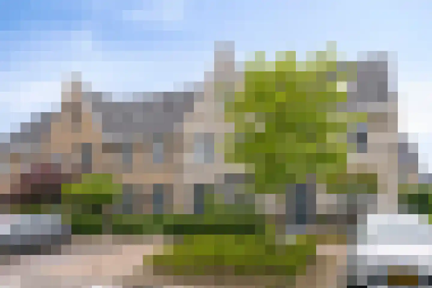 Aalscholver 18 Hendrik-Ido-Ambacht thumbnail 6