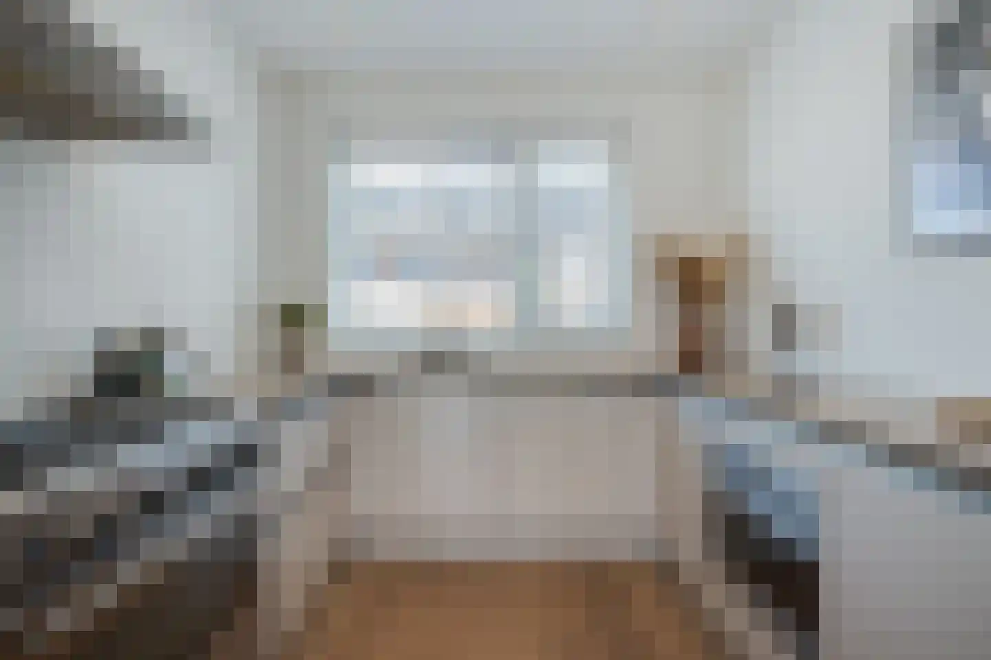 Aalscholver 2 Leimuiden thumbnail 12