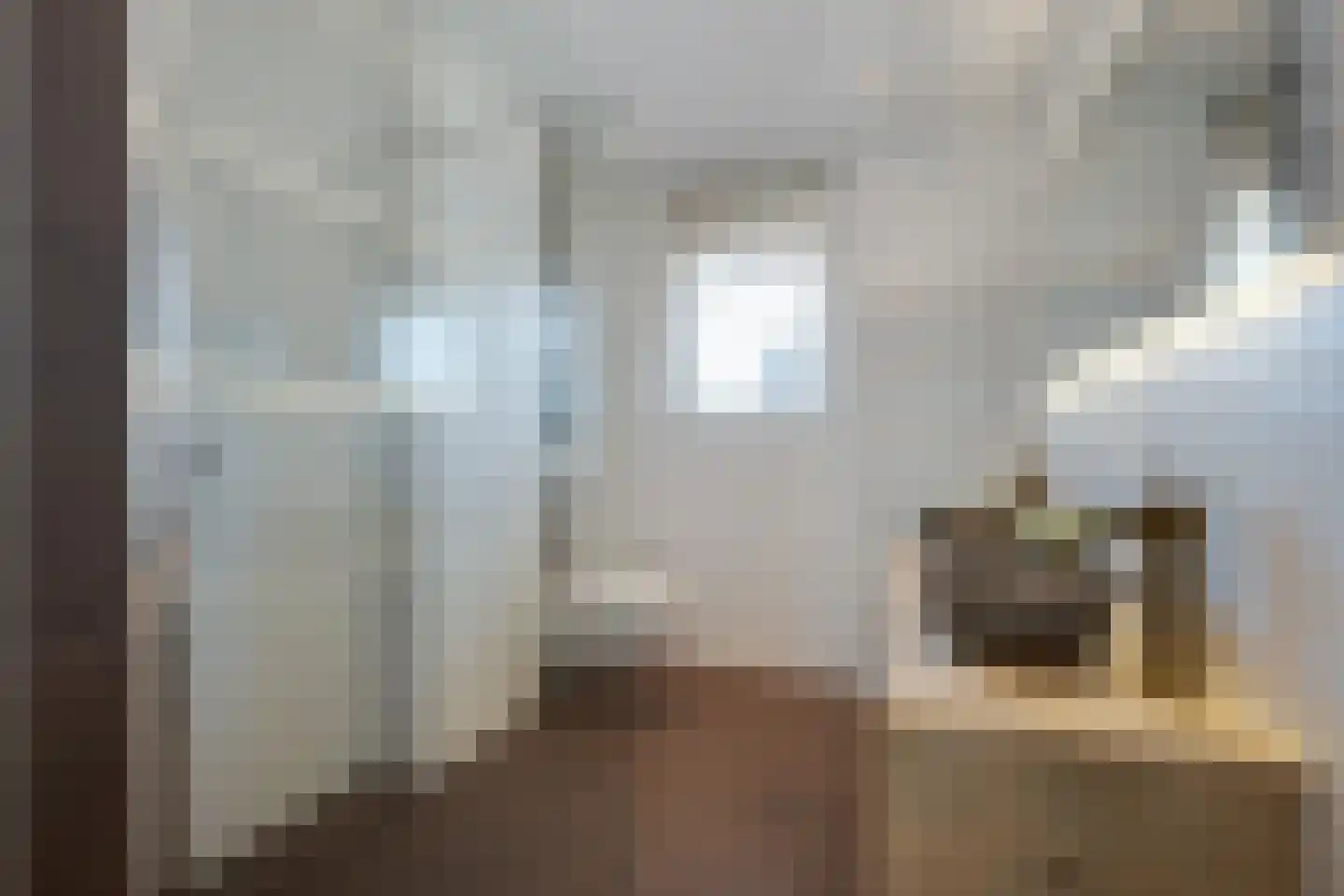 Aalscholver 2 Leimuiden thumbnail 14