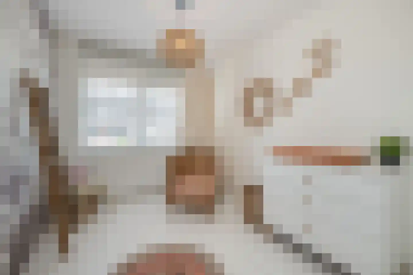 Aalscholver 2 Leimuiden thumbnail 18