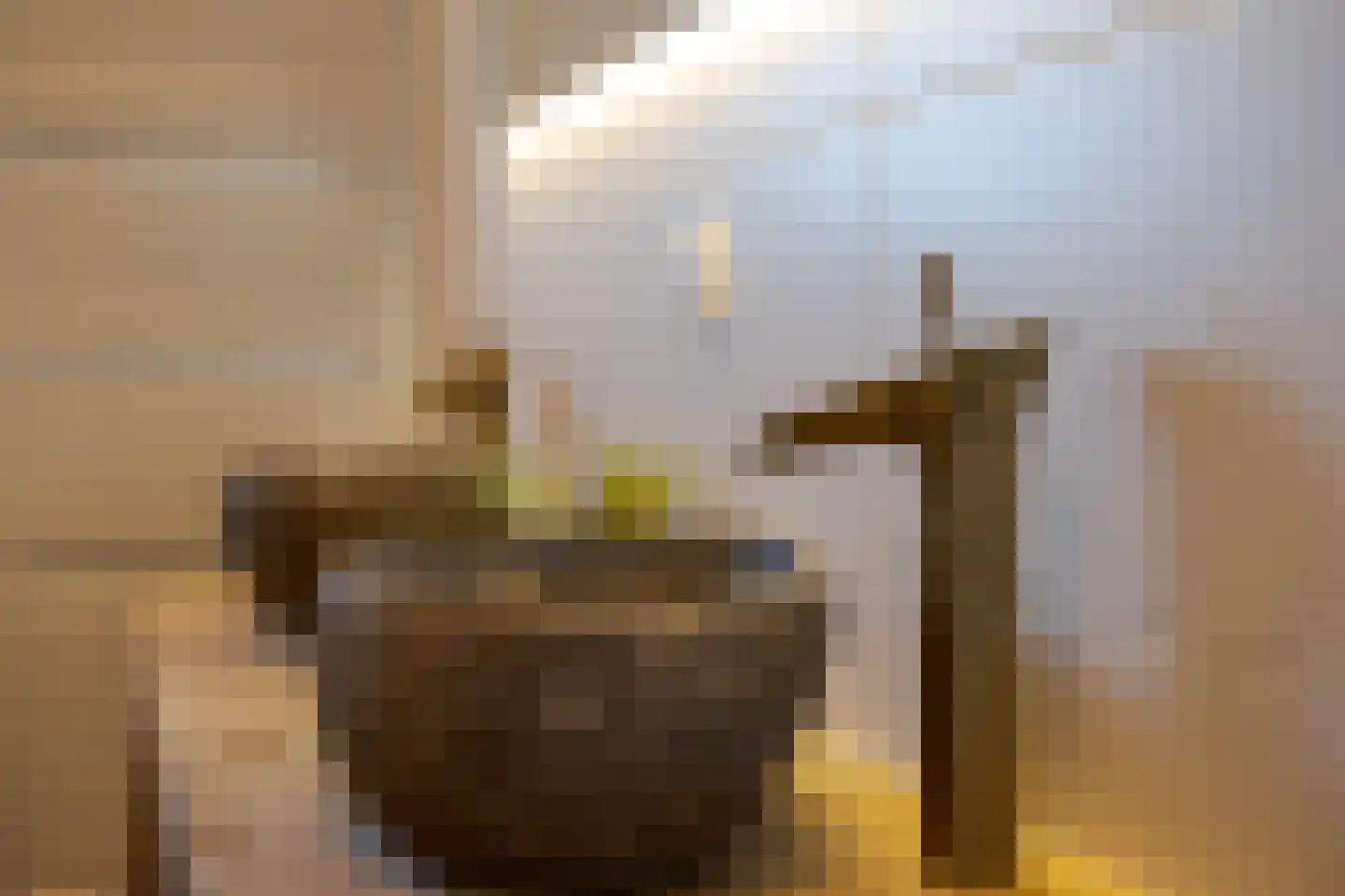 Aalscholver 2 Leimuiden thumbnail 21