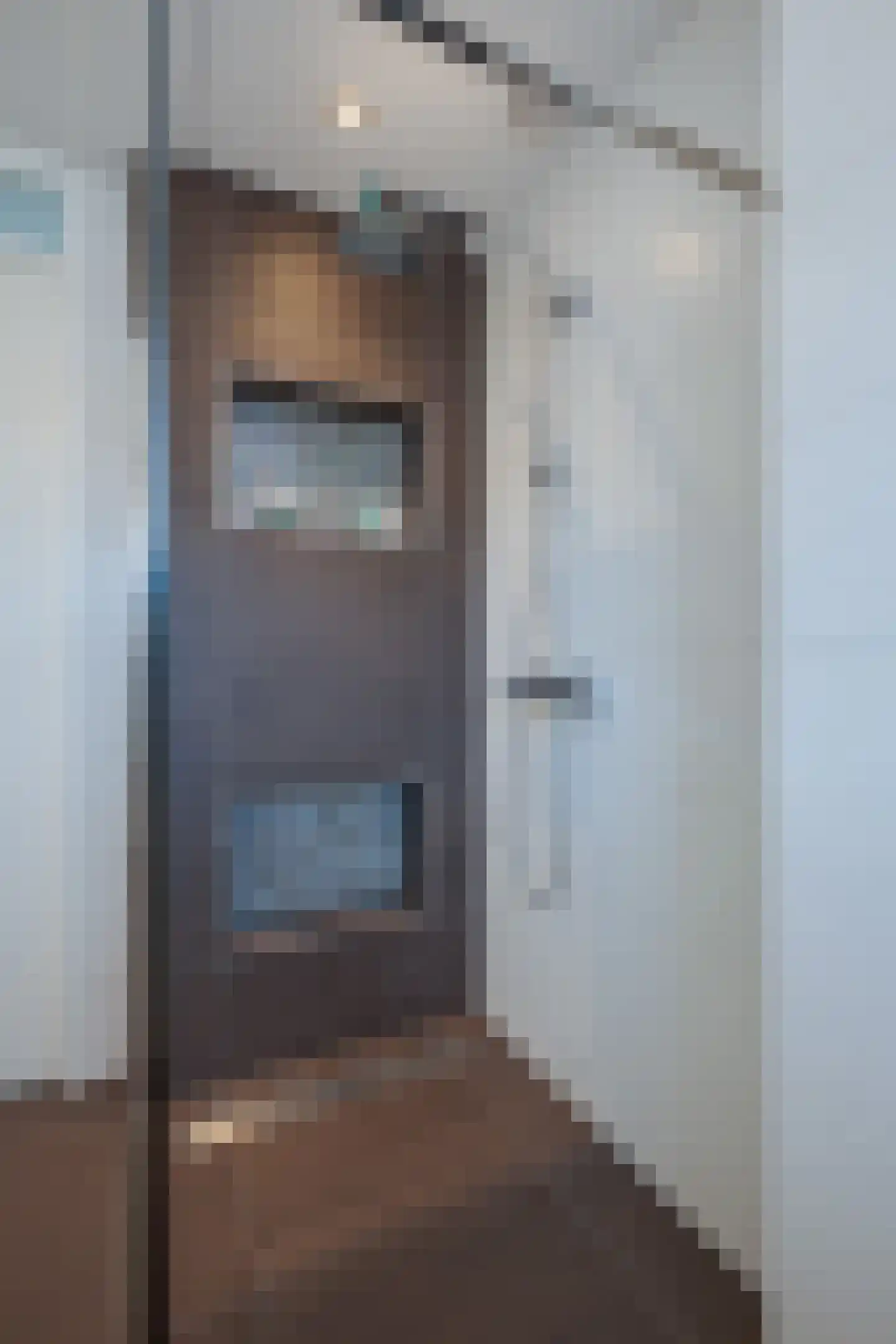 Aalscholver 2 Leimuiden thumbnail 22