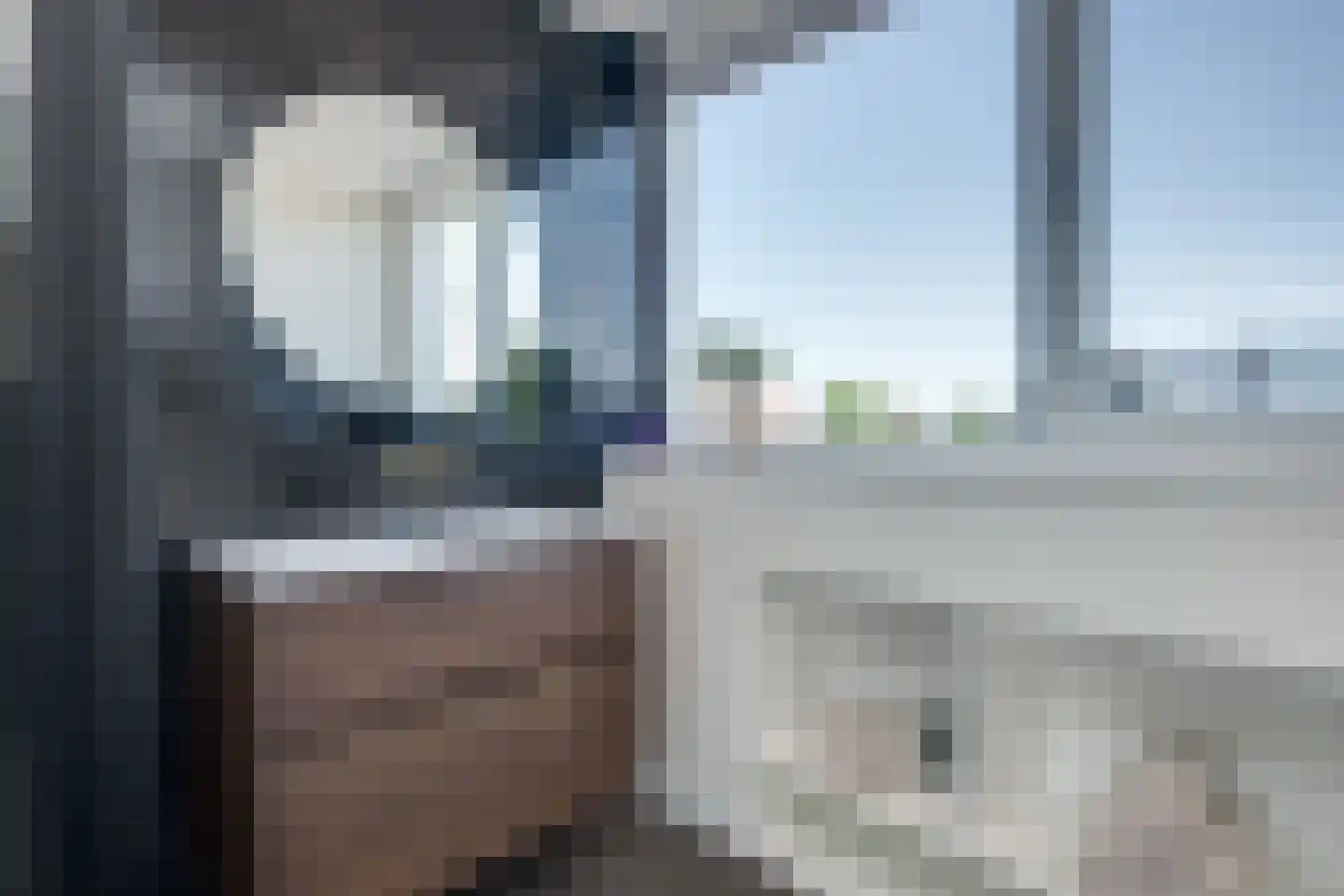 Aalscholver 2 Leimuiden thumbnail 27