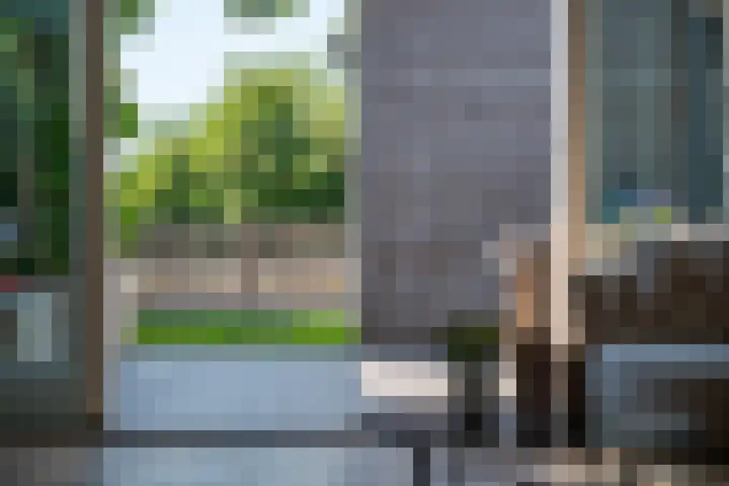Aalscholver 2 Leimuiden thumbnail 28