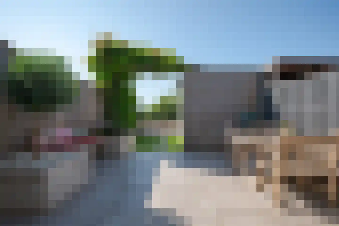 Aalscholver 2 Leimuiden thumbnail 30