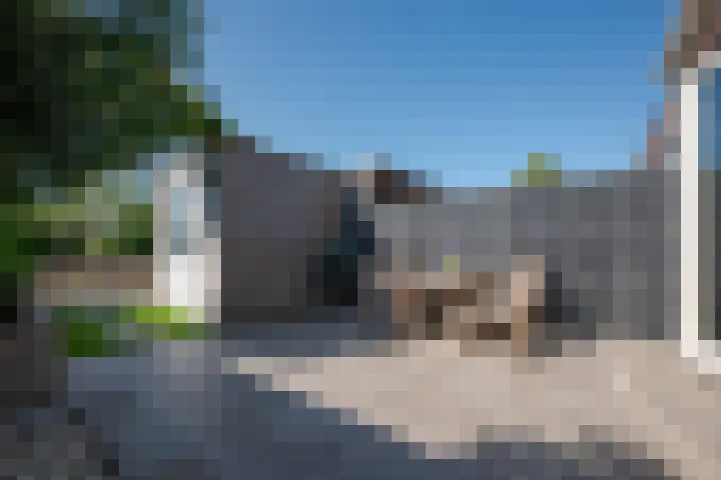 Aalscholver 2 Leimuiden thumbnail 31