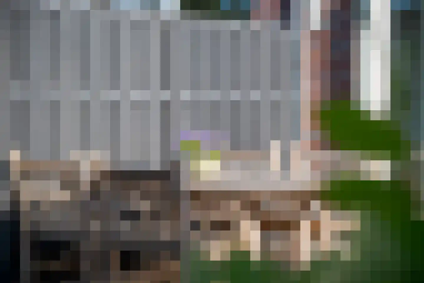 Aalscholver 2 Leimuiden thumbnail 32