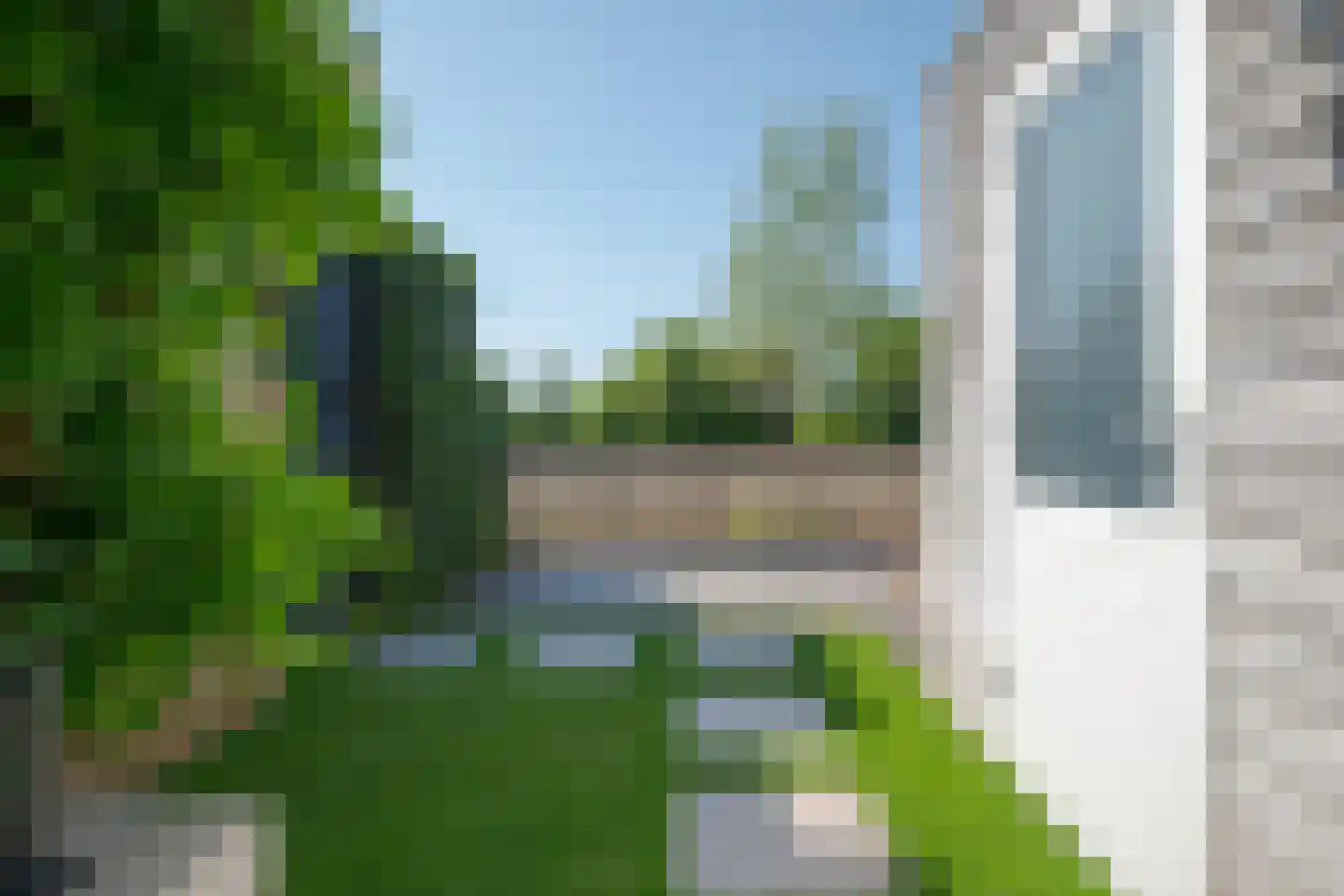 Aalscholver 2 Leimuiden thumbnail 34