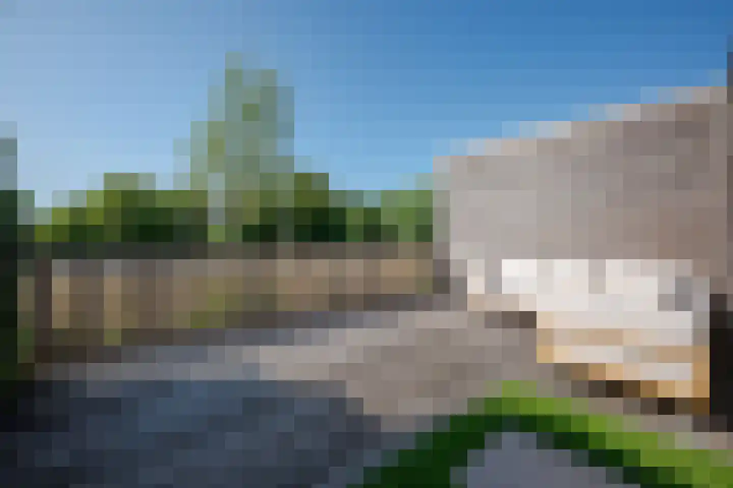 Aalscholver 2 Leimuiden thumbnail 35