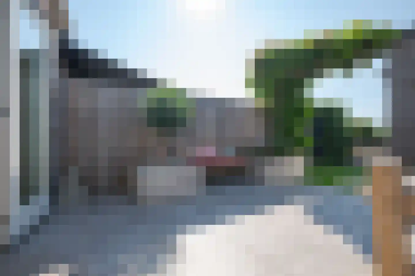 Aalscholver 2 Leimuiden thumbnail 35
