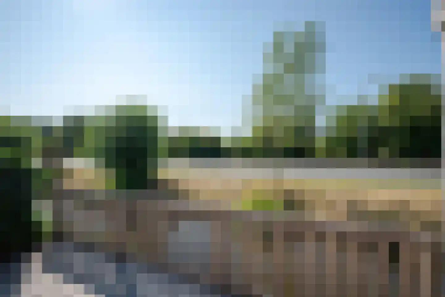 Aalscholver 2 Leimuiden thumbnail 36