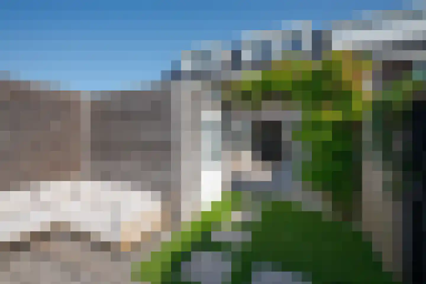 Aalscholver 2 Leimuiden thumbnail 38