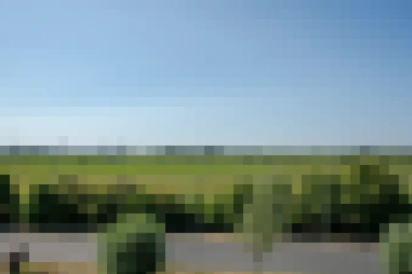 Aalscholver 2 Leimuiden thumbnail 39
