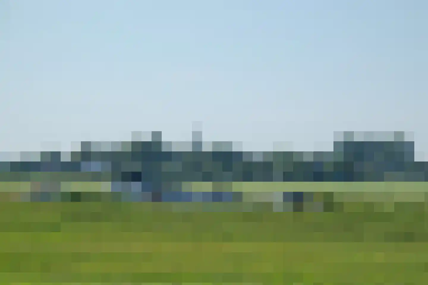 Aalscholver 2 Leimuiden thumbnail 39