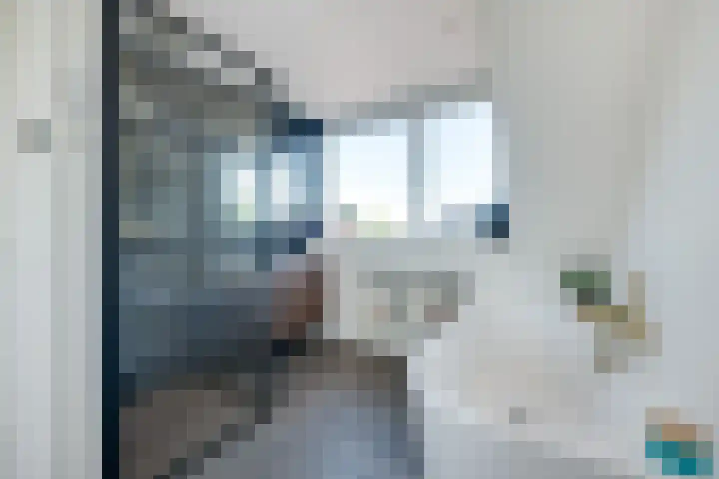 Aalscholver 2 Leimuiden thumbnail 4
