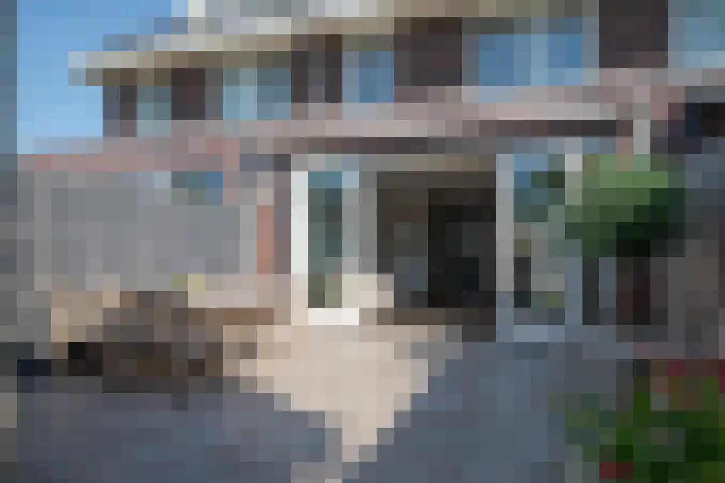 Aalscholver 2 Leimuiden thumbnail 40