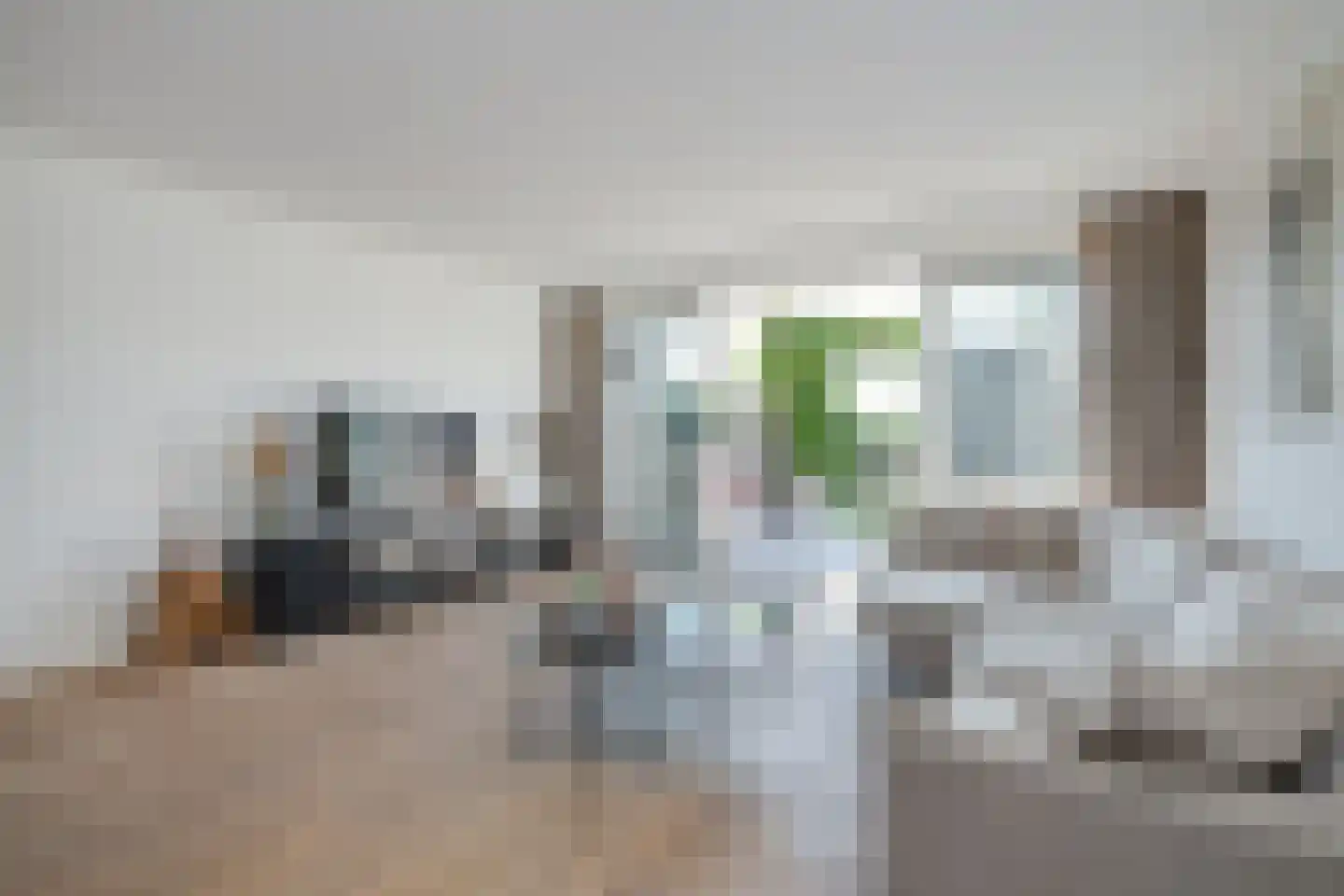 Aalscholver 2 Leimuiden thumbnail 7