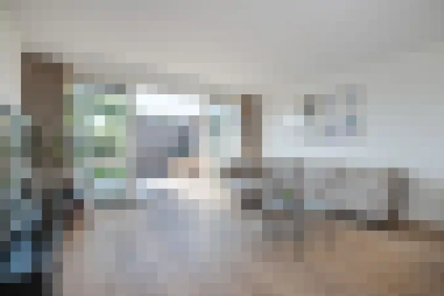 Aalscholver 2 Leimuiden thumbnail 9