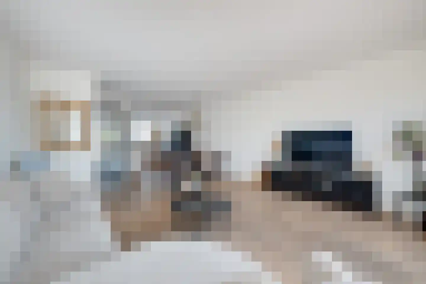 Aalscholver 2 Leimuiden thumbnail 9