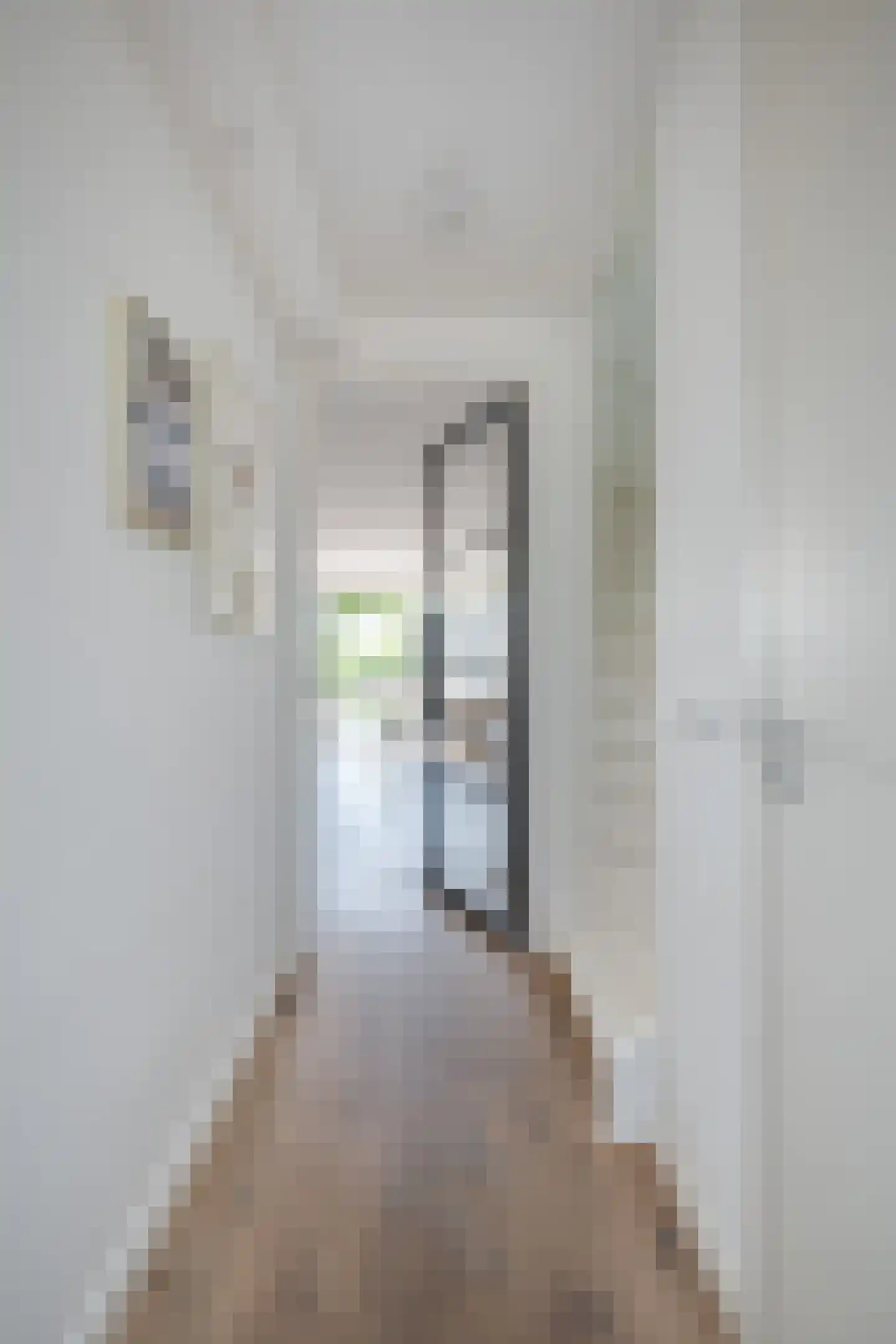 Aalscholver 2 Leimuiden thumbnail 9