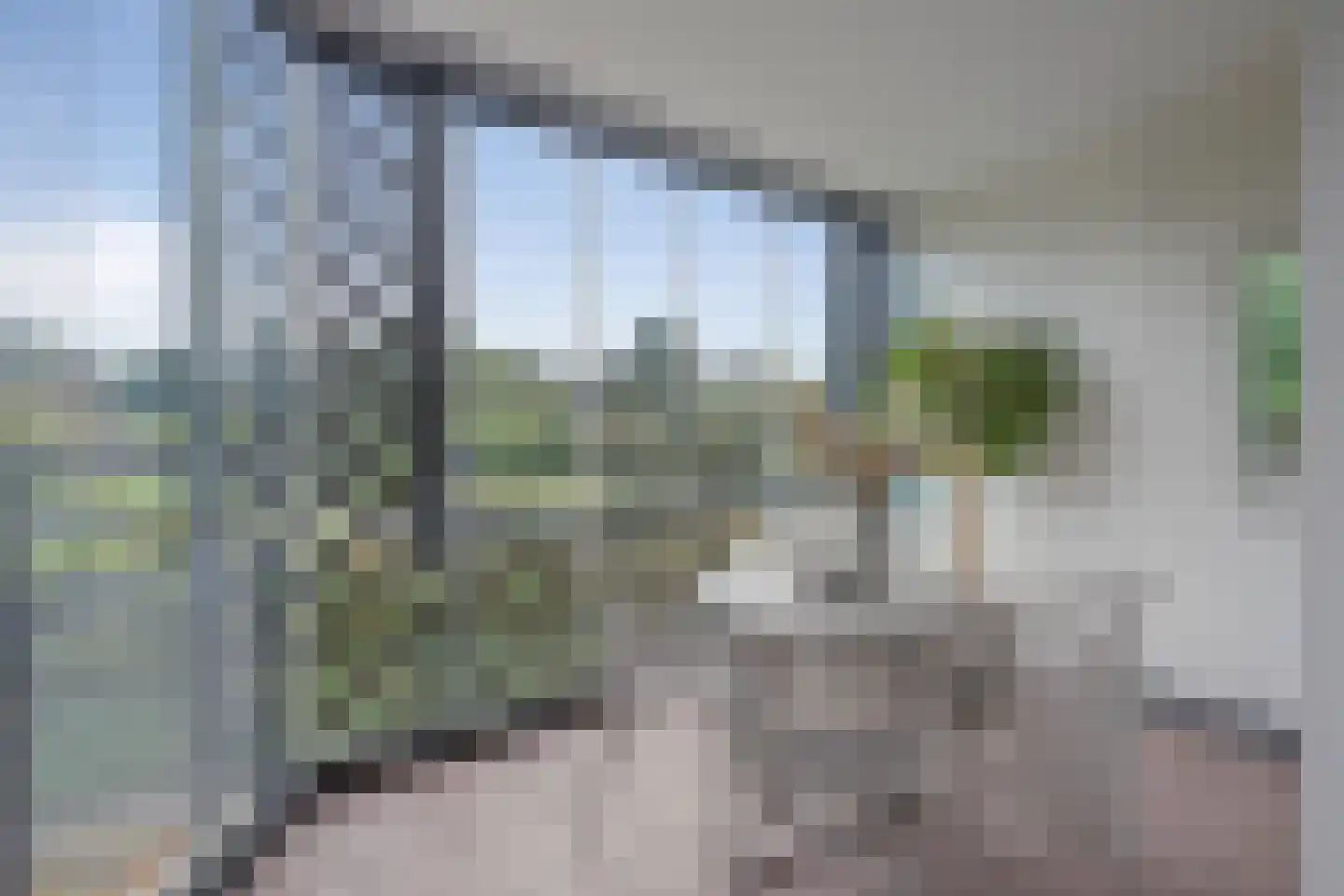 Aalscholver 20 Etten-Leur thumbnail 16