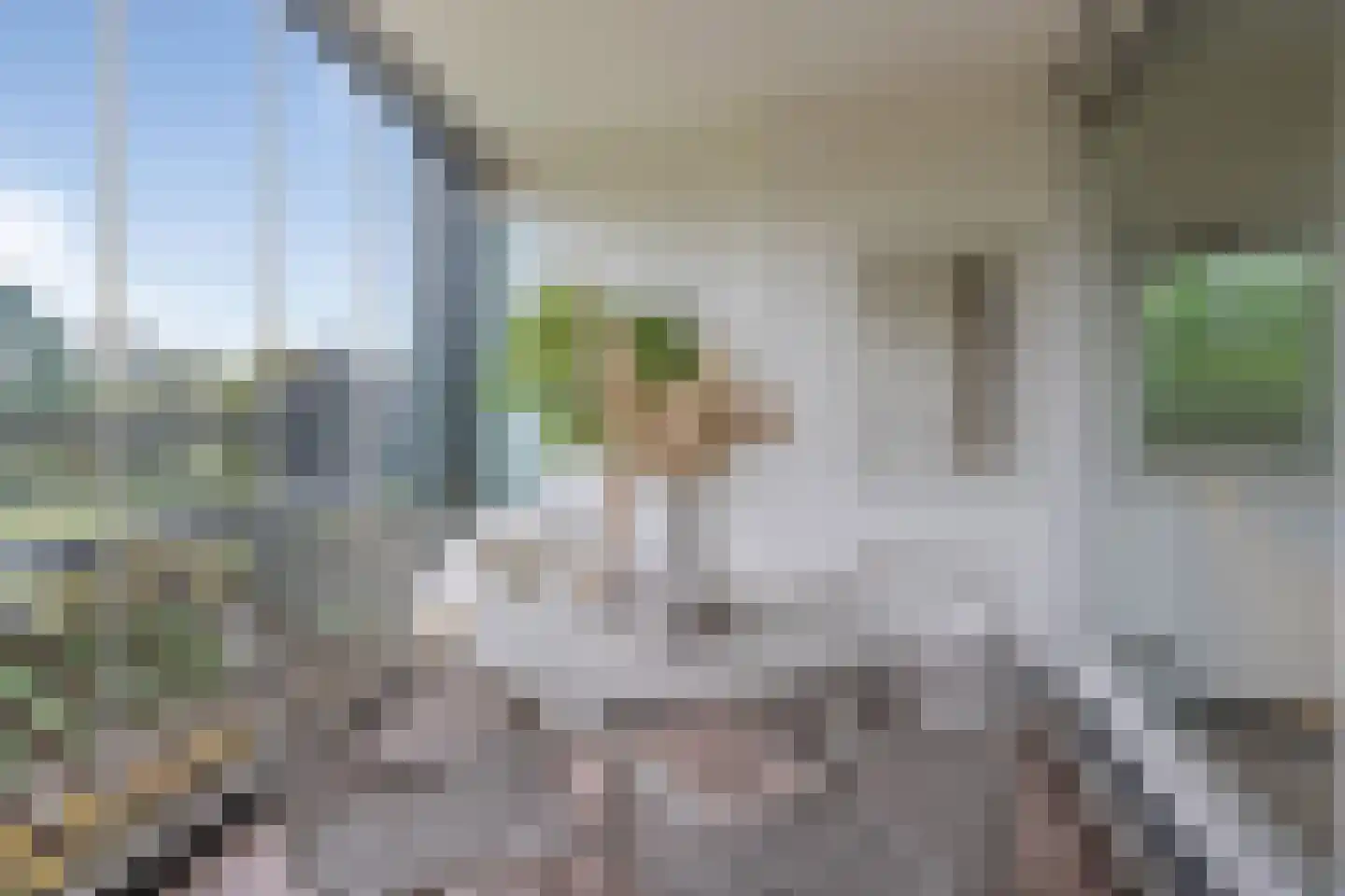 Aalscholver 20 Etten-Leur thumbnail 17