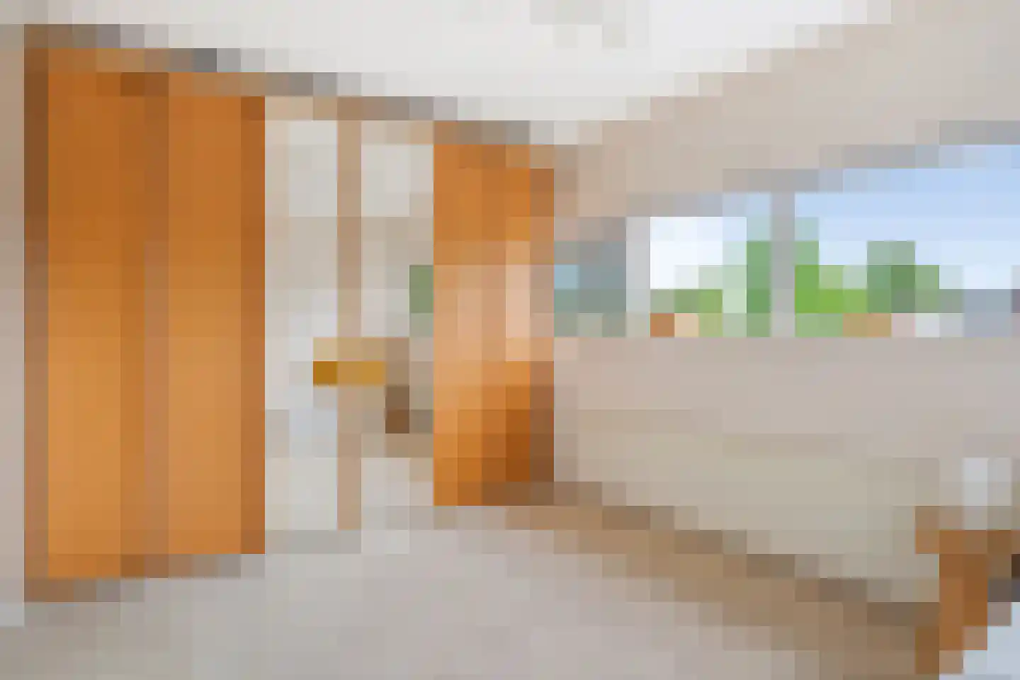 Aalscholver 20 Etten-Leur thumbnail 28