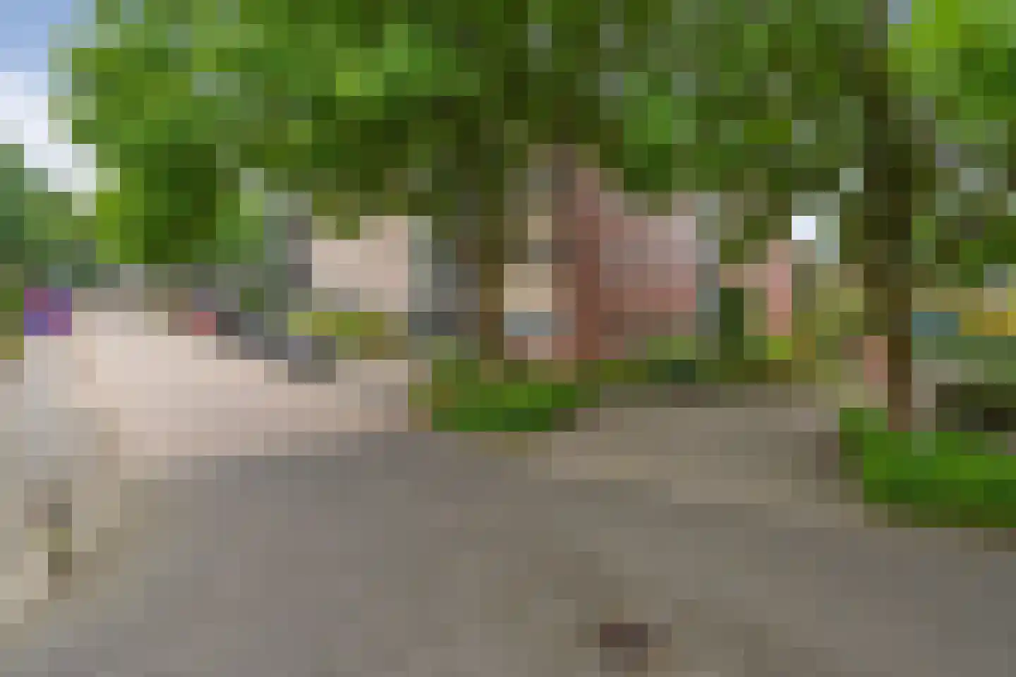 Aalscholver 20 Etten-Leur thumbnail 32
