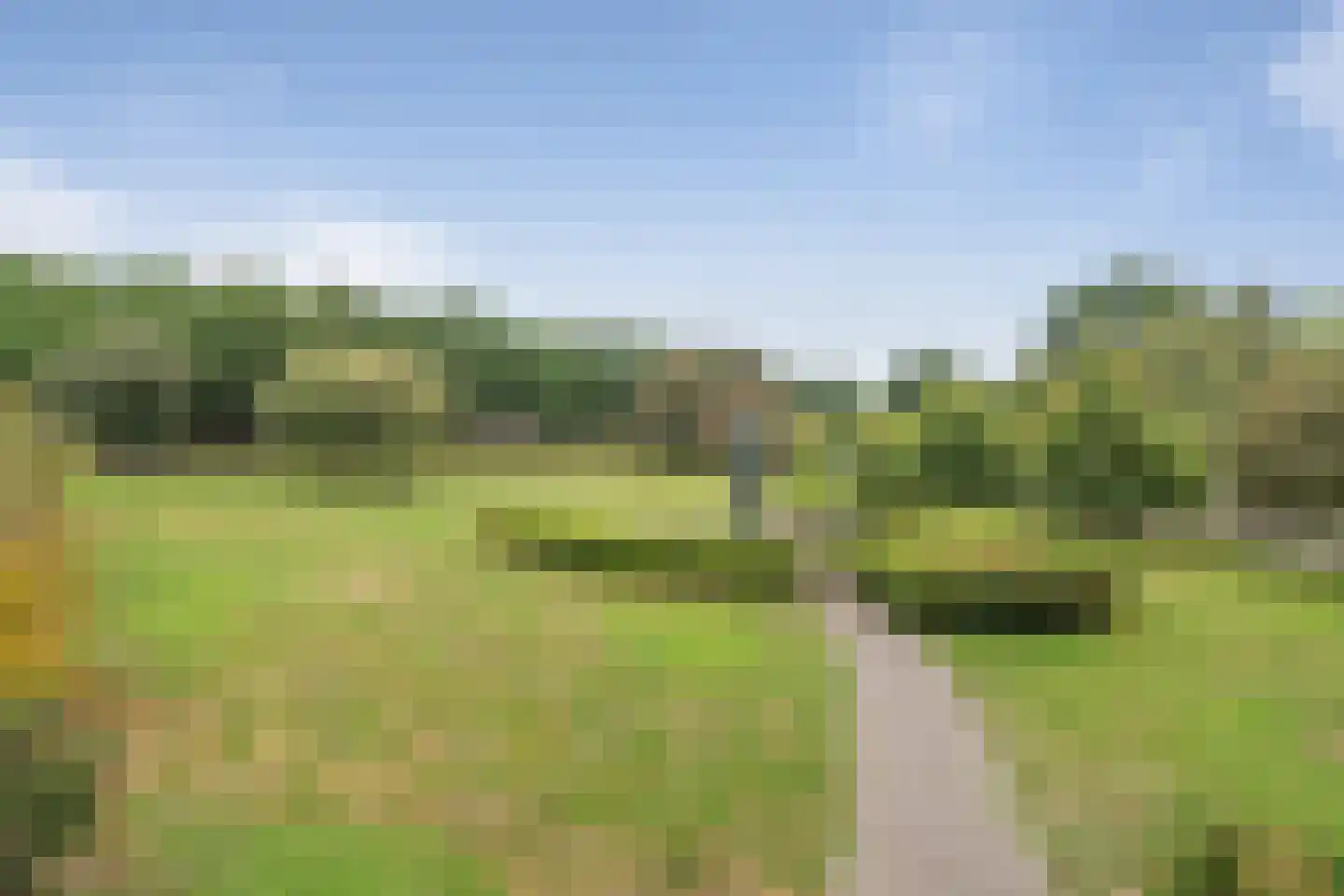 Aalscholver 20 Etten-Leur thumbnail 34