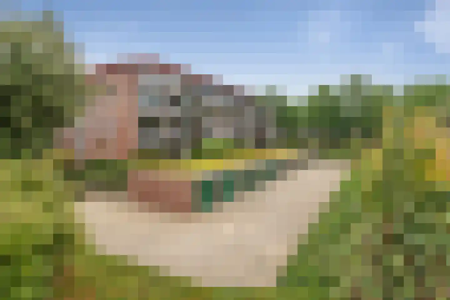 Aalscholver 20 Etten-Leur thumbnail 35