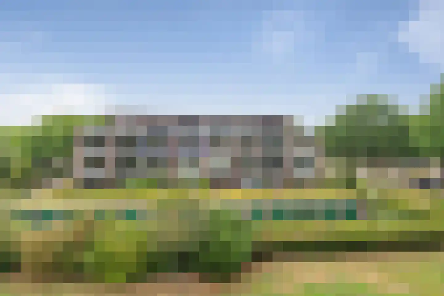 Aalscholver 20 Etten-Leur thumbnail 36