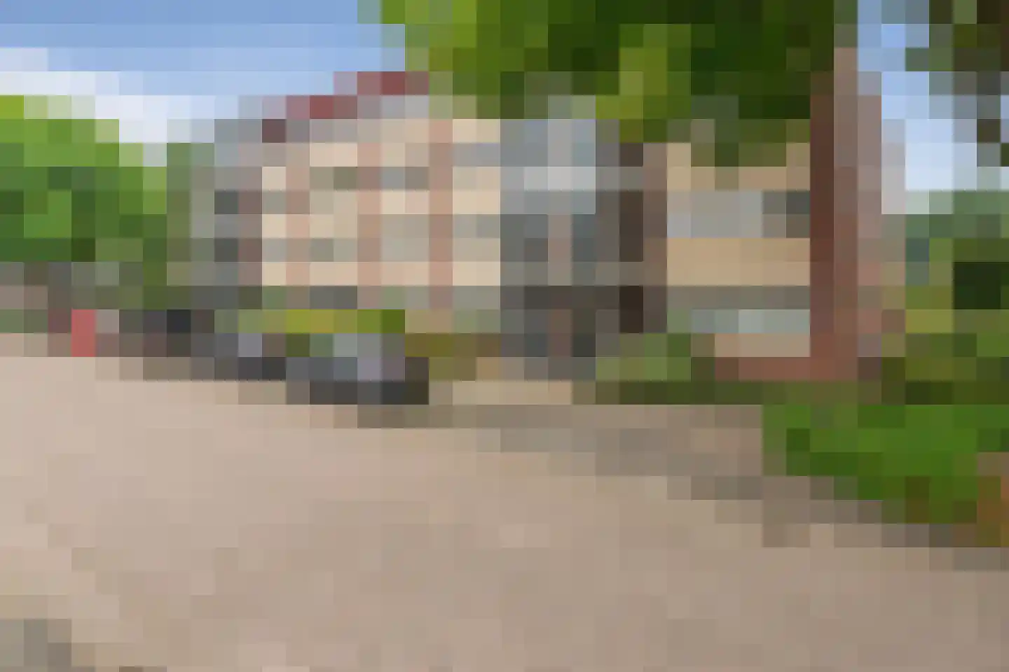 Aalscholver 20 Etten-Leur thumbnail 38