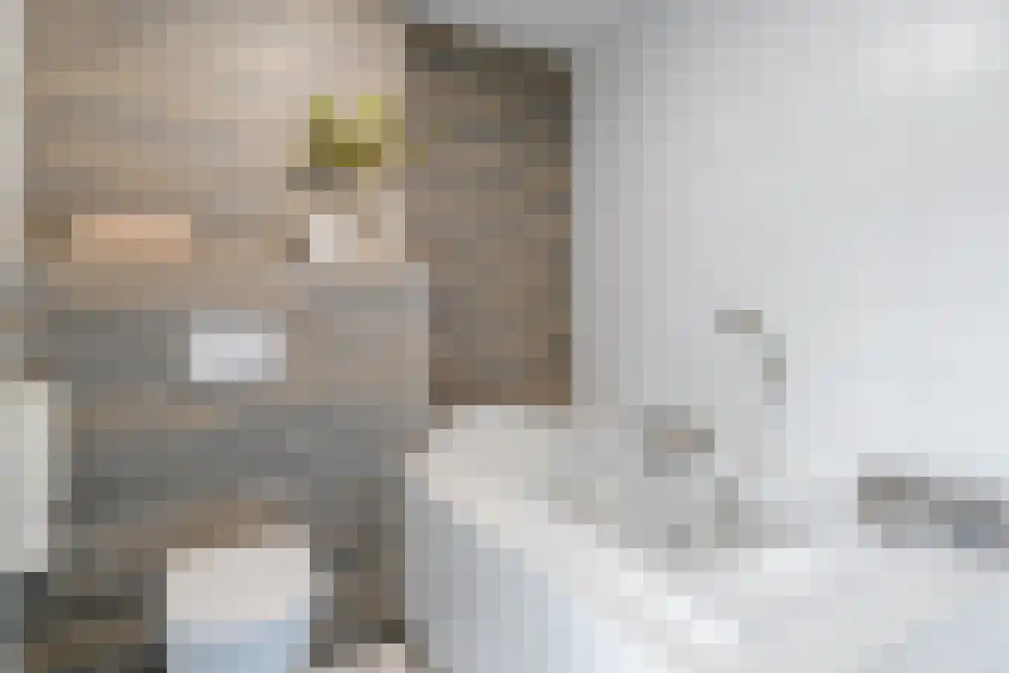 Aalscholver 20 Etten-Leur thumbnail 4