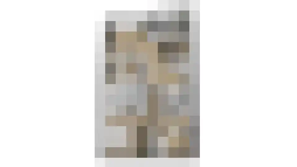 Aalscholver 20 Etten-Leur thumbnail 43