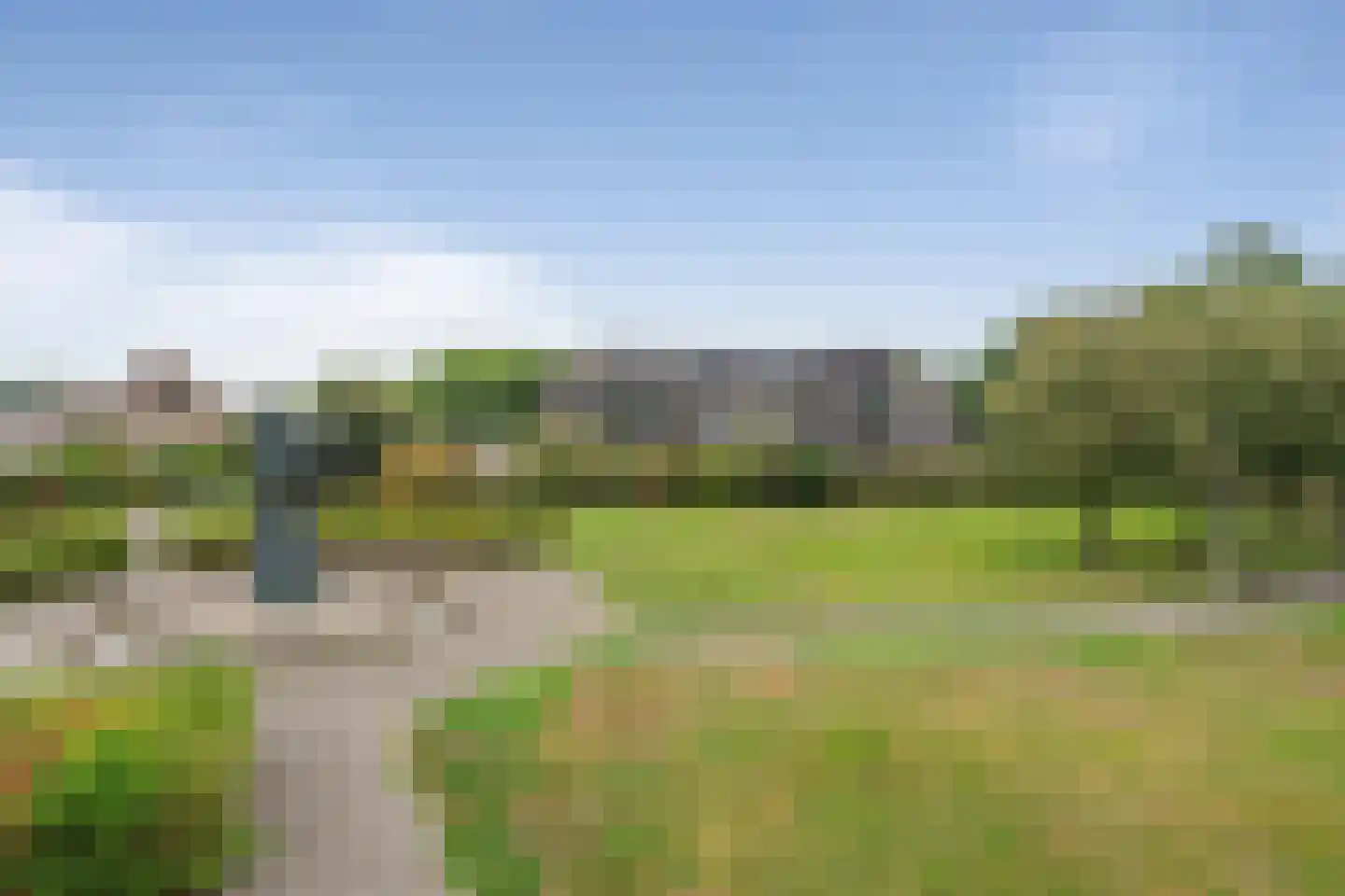 Aalscholver 20 Etten-Leur thumbnail 5