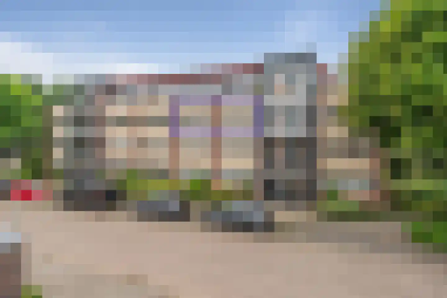Aalscholver 20 Etten-Leur thumbnail 7
