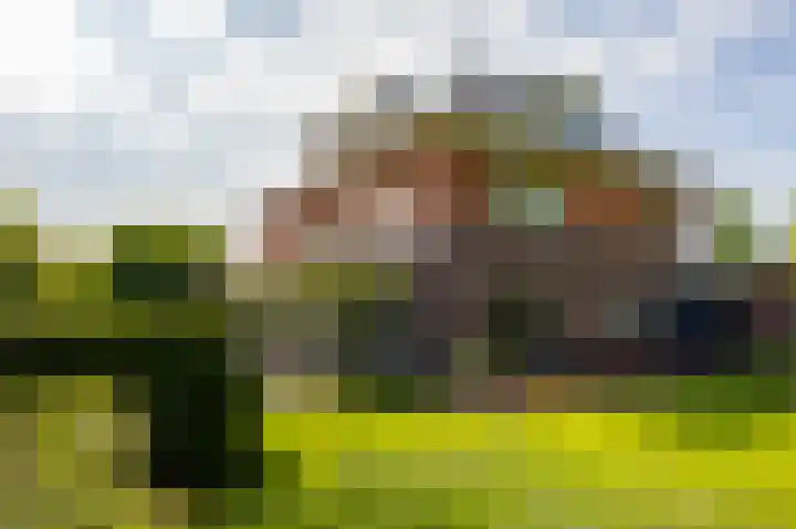 Aalscholver 20 Groningen