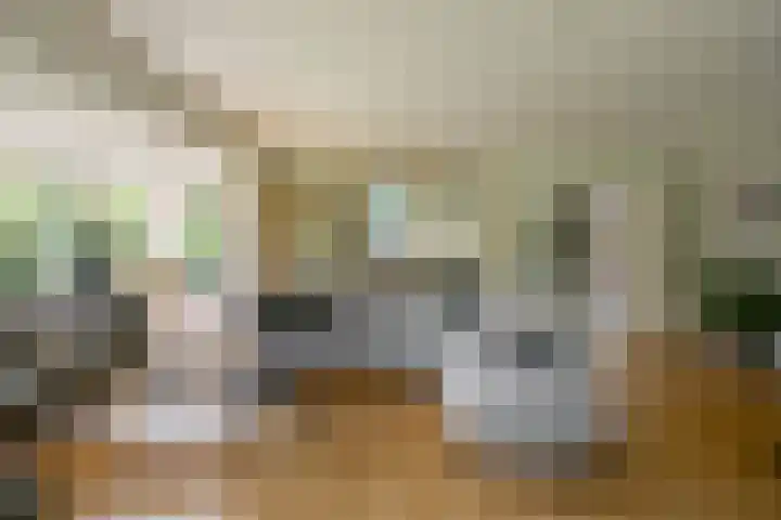 Aalscholver 20 Groningen thumbnail 13